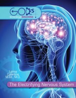 The Electrifying Nervous System - Elementary Anatomy