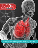 The Breathtaking Respiratory System - Elementary Anatomy